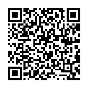 他们也不管这样做会遭受到身后势力什么样的责罚了二维码生成