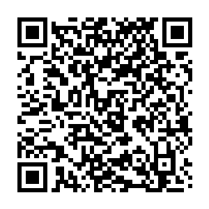 他们也再一次感觉到了此时的十二诸象大阵的频率与许紫烟发出的频率完全融合二维码生成