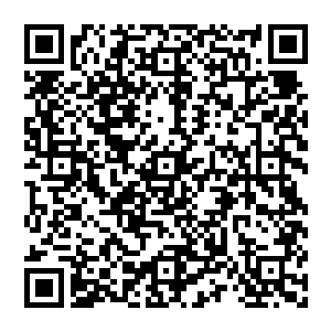 他们也就跟长老们一起见识了一番这群之前空着手挺和气的年轻人突然变成狂暴的北极熊是什么样二维码生成