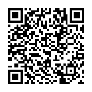 他们也很想试试自己现在的实力究竟成长到了什么样的地步二维码生成