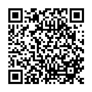 他们也感觉出许德拉的实力绝对已经达到了顶级神顶峰的行列二维码生成
