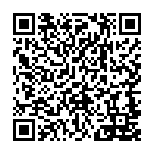他们也无法靠近这一扇秘境之门百米之内的……那可怕的阴火就会将他们击杀了二维码生成