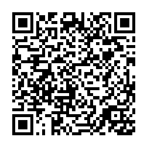 他们也是有些目瞪口呆的……那一枚他们千辛万苦都没有弄到手的珠子二维码生成