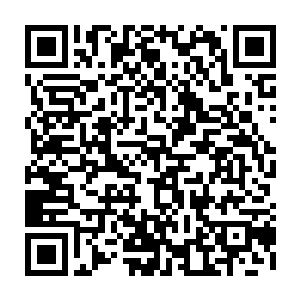 他们也算是明白了剑尘和结界之灵之间的关系究竟达到了何种亲密的地步二维码生成