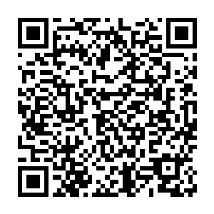 他们也终于明白了先前焰心感知到的时时刻刻都有生命在陨落是什么了二维码生成