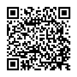 他们也绝对会出手帮忙的……这一尊阿修罗幻象如此强大二维码生成