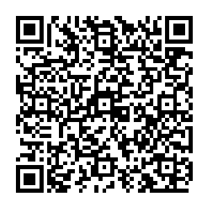 他们五大太上长老几乎无时无刻都不在向着等他们脱困时将要如何的报复祖脉的人二维码生成