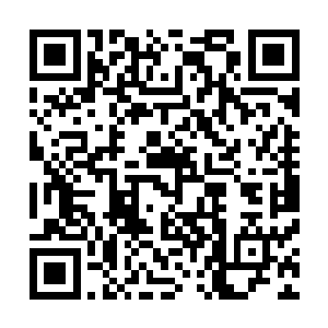 他们亲眼目睹秦铮在这头畜生的攻击下竟然毫无还手的余地二维码生成