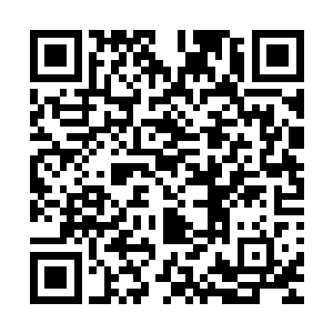 他们从来不会干出因为他们的实力而从中截取拍卖信息的事情二维码生成