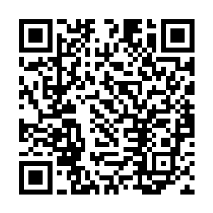 他们从来不曾想到会有人从他们的宗门手上索取什么二维码生成