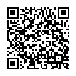 他们以为我和吞天界主已经在人们看不到的地方交手了二维码生成