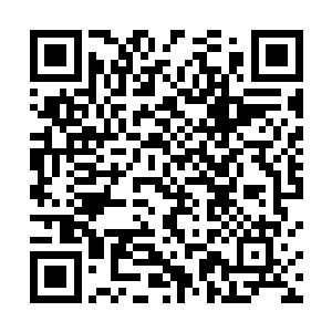 他们会在家族中找寻最强大最合适的继承人来继承爵位二维码生成