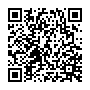 他们会对以前抓他们进去这血色监狱的人实施怎样的报复二维码生成