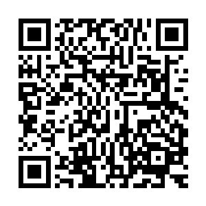 他们会把今晚收集到的问卷在几个工作日内分门别类地统计完毕二维码生成
