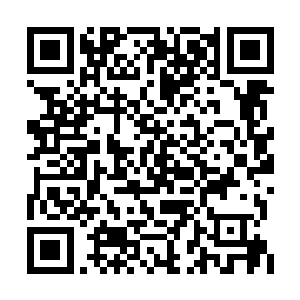 他们会把每个入会帮众的dna数据收集进数据库中二维码生成