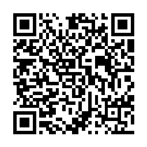 他们会甘愿把花费了无数心血创造出来的战兽用来成全你二维码生成