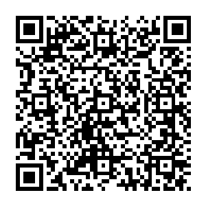 他们会颂扬我生前的成就……没准还会给我颁个诺贝尔和平奖什么的……呵呵……而你二维码生成
