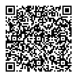 他们传来的消息是天下第一庄的庄主命令他上下所有商行都不允许给我们提供炼制丹药的药草二维码生成