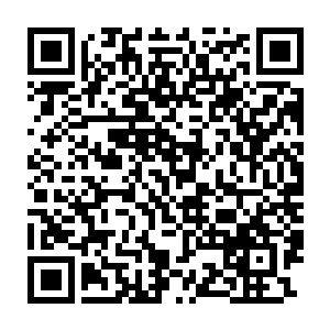 他们似乎发现自己先前与聚众与天军对抗的做法根本就是幼稚得可笑二维码生成