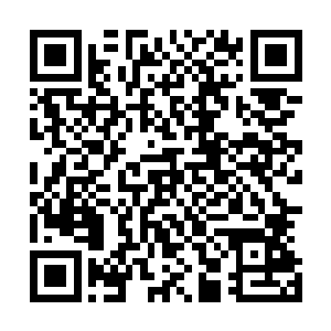 他们似乎在看那雪白的世界树枝桠的时候也并未看到的家伙二维码生成