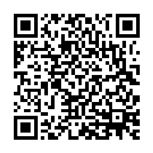 他们似乎已经是可以想象到张家和那些精怪气急败坏的模样了二维码生成