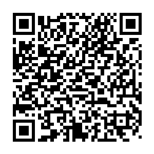他们便已经体验到了当突然失去生活中每天必用的软件时带来的不便二维码生成