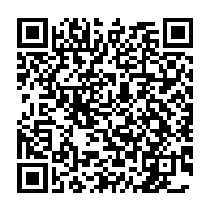 他们做梦都想不到龙傲天竟然能够跟圣龙皇大战三天三夜而不落下风二维码生成