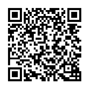 他们关注的还有迪士尼和珍妮弗几乎是必然发生的索赔官司二维码生成