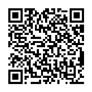他们几个人身上的伤势几乎仅仅用了不到一天的时间就恢复了二维码生成