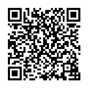 他们几个当时都是跟着杨开和冯英从墨族腹地一路杀回来的二维码生成