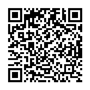他们刚才也是被衍生者从雷达中时隐时现的异常搞得有些分神了二维码生成