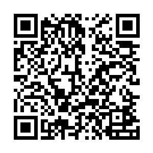 他们却会兴奋地浑身上下每一根毛细血管里都在涌动着热血二维码生成
