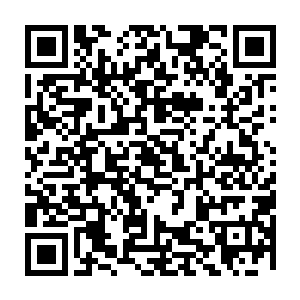 他们原本是打着哪怕是损耗天意和命运熔炉中的力量也要一举破了这生死之幕二维码生成