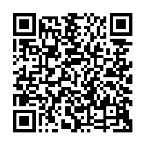 他们去城里时也见过有角贵族使用能存放很多东西的小型骨宝二维码生成