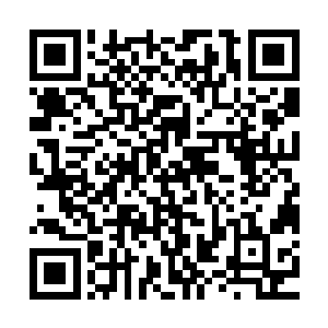 他们只是一些魔兽经过长期的进化之后形成的类似于人类的样子二维码生成