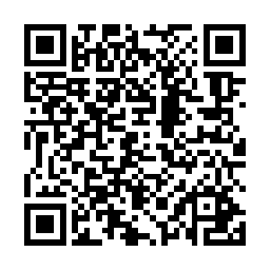 他们只看到蛤咕身上的黑色护罩随着每一次撞击在所辖二维码生成