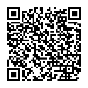 他们只能看到他被鲜血沾染了的衣服稍微证明他似乎有参加这场战斗二维码生成