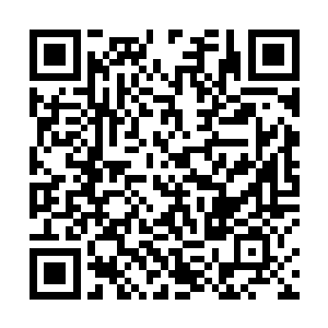 他们只能遗憾地让凌蘭帮他们先去查探一下任务的内容二维码生成