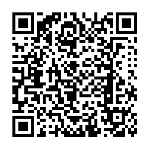 他们只要服用一种并不算特别值钱的二品丹药变形丹便可化为人形二维码生成