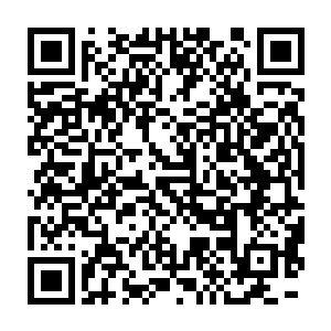 他们叫来的不会是像昨天在街道上见的那群满大街乱窜的拿着砍刀二维码生成