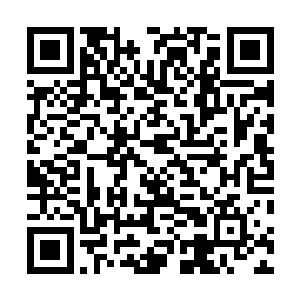 他们可不相信自己的运气会好的又遇上一个独行侠的大陆二维码生成