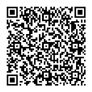 他们可以用奢靡无度的物欲享乐和放纵刺激着这些人和他们在局面混乱之时一起打下龙皇域西边的大片疆域二维码生成