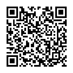 他们可以看到大屏幕上依旧是舞台前面人潮涌动的情况二维码生成
