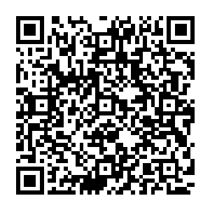 他们可是付出了让人难以想象的巨大代价的……其中有很大一部分就是贡献给了杀手联盟的二维码生成