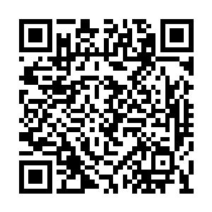 他们可没有去管之前和神墓的墓主有什么交情了二维码生成