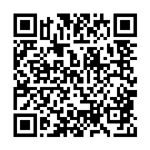 他们可没有太多的域主和八品墨徒继续折损下去二维码生成