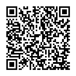 他们各自用复杂的神情望着走廊里那两个人不像人家伙来了段激情对舞二维码生成