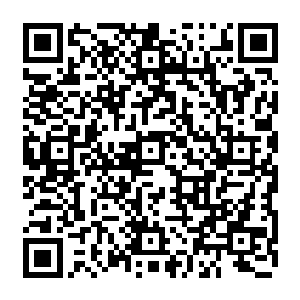 他们各自被丢进那片广阔的仿佛看不到边的森林里与毒虫鼠蚁为伴整整一个月时间二维码生成
