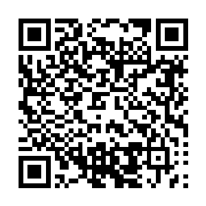 他们向东神王的身前扔攻击的目的就是为了逼夏天使用虚无二维码生成