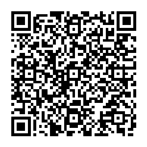 他们唯一的作用就是尽可能的将他们关于灵农宝宗的阵法和一些能够用来战斗的东西找出来二维码生成